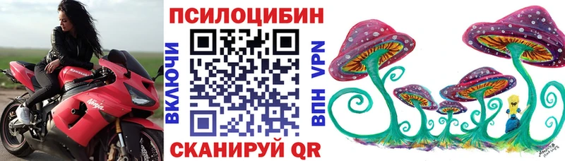 Галлюциногенные грибы Psilocybine cubensis  Соликамск 